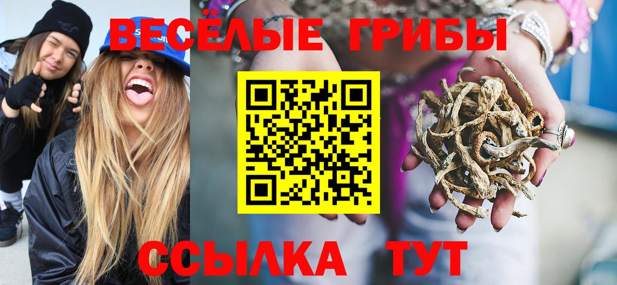 Пушкино  Галлюциногенные грибы GOLDEN TEACHER  как найти наркотики  Вход с VPN 