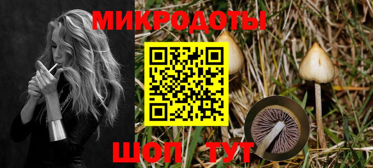 Псилоцибиновые грибы прущие грибы Пушкино